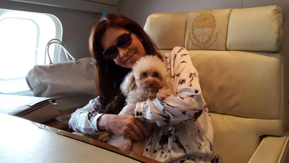ACOMPAÑADA. Cristina tuiteó el 30 una foto junto a su perra Lolita, para anunciar que las mascotas podrás volar por Aerolíneas. FOTO TOMADA DE TWITTER.COM/CFKARGENTINA