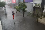 Una tormenta con fuertes vientos se desató en la provincia