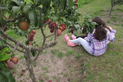 Una temporada para hacer dulce