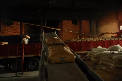 Confirman la fecha límite para completar las exportaciones