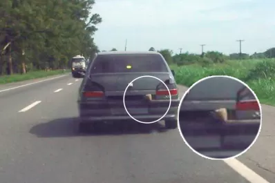 Misterio en la ruta 38: ¿qué sale del baúl este auto sin patente?