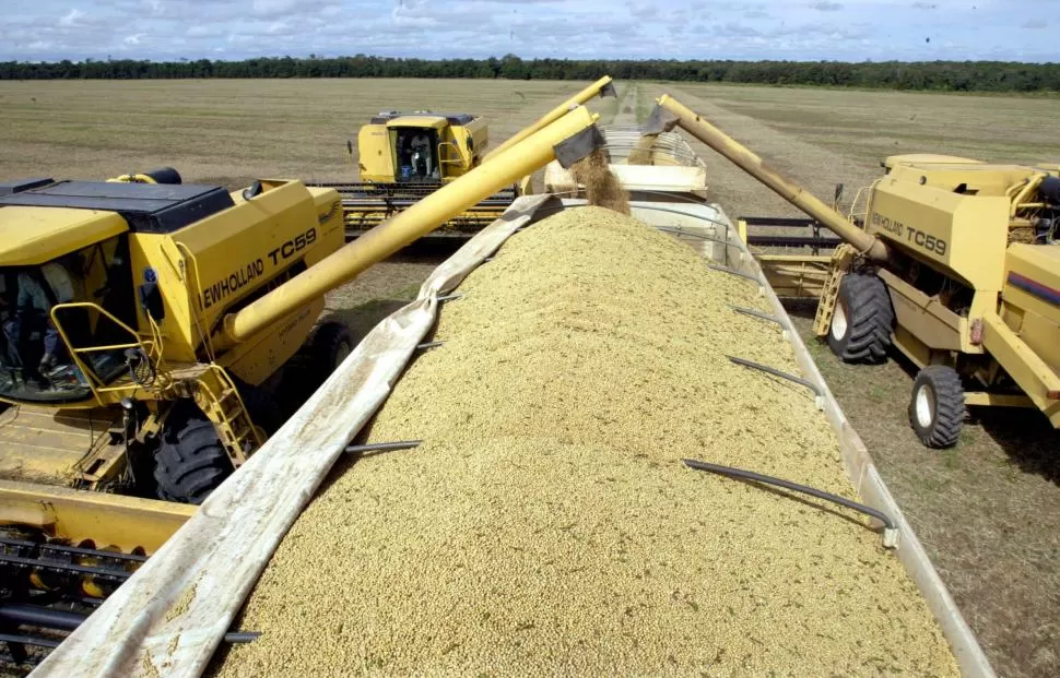 MEDIDA. El acceso al crédito debería ser flexible para todos los productores, según la Sociedad Rural provincial. reuters 