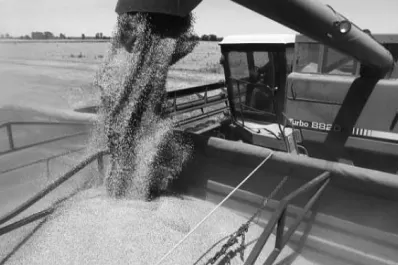 El Gobierno busca transparentar el comercio granario