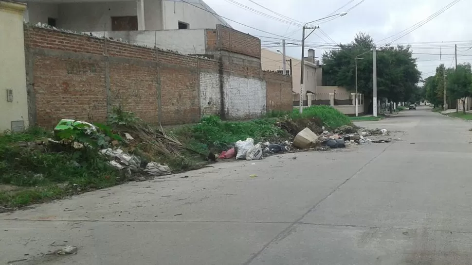 En Esquiú al 600 la basura ya ocupa la mitad de la calle