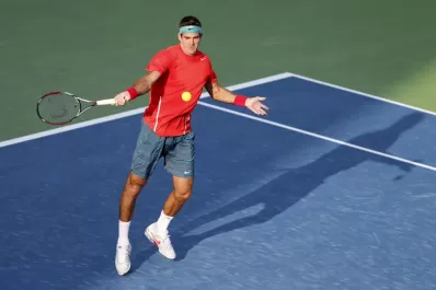 Del Potro cuenta las horas para su vuelta