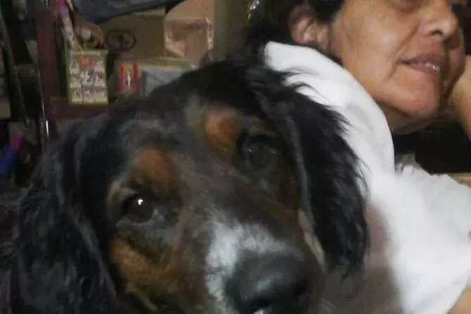 PERDIDO. Se llama Teo, es mezcla de cocker, contó la dueña. 