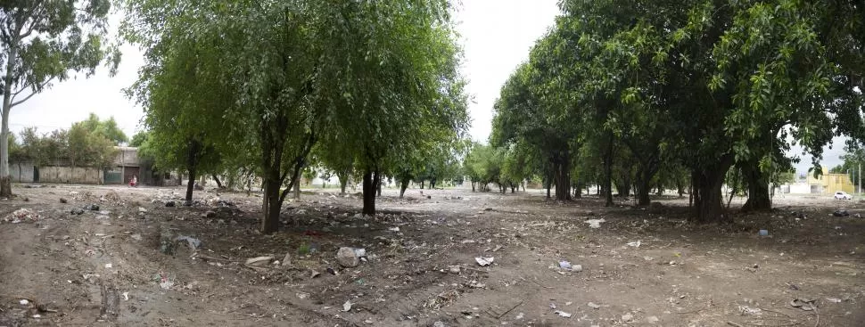 UNA FISONOMÍA DIFERENTE. Sólo árboles han quedado en pie en el predio que antes ocupaban los vecinos del barrio Ángela Riera, que a fines del año pasado fueron reubicados en viviendas construidas en El Manantial Sur.