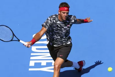 Del Potro cayó ante el kazajo Kukushkin y se despidió de Sydney