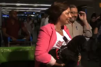 Por primera vez, una pasajera subió con su mascota a un avión de Aerolíneas