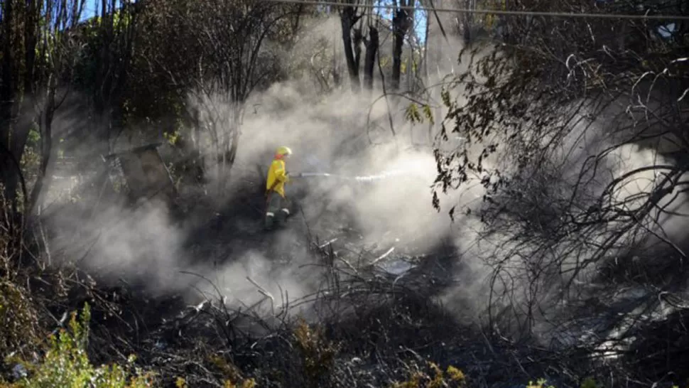 FOTO TOMADA DE INFONEWS.COM