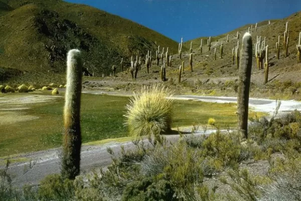 Los Cardones, un área protegida llena de encanto