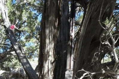 El misterio del Winchester