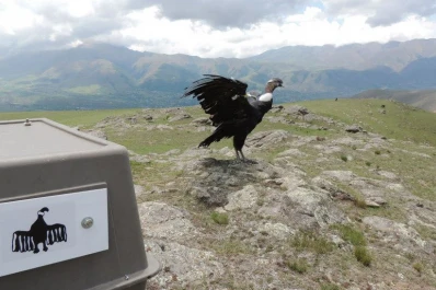 Y un día “Tulpelel” se reencontró con los cerros