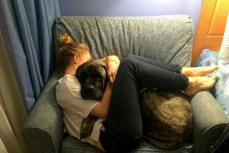 Conmovedor homenaje a su perro al saber que iba a morir