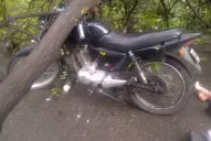 Un árbol cayó sobre un motociclista en El Bajo
