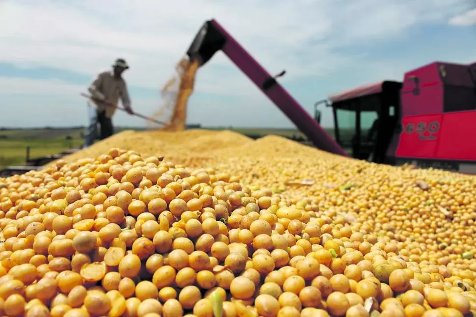 VISIÓN EXTERNA. La calificadora S&P ubica a la agricultura como una de las principales generadoras de activos dentro del mercado financiero. la gaceta / archivo 