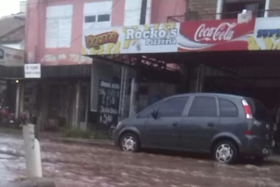 INCREIBLE. Una vez que bajó el agua, un grupo de vecinos de Alberdi encontró un bagre en la calle. FOTO ENVIADA POR UN LECTOR