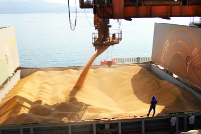 El Gobierno y los exportadores volverían a juntarse por liquidaciones