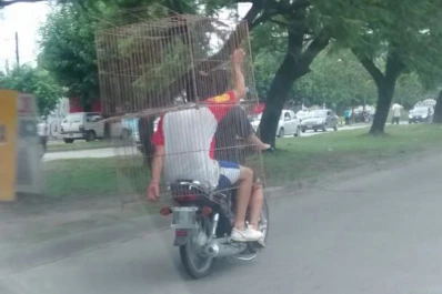 Insólito: dos motociclistas envueltos por una jaula y un carro cargando la carrocería de un auto