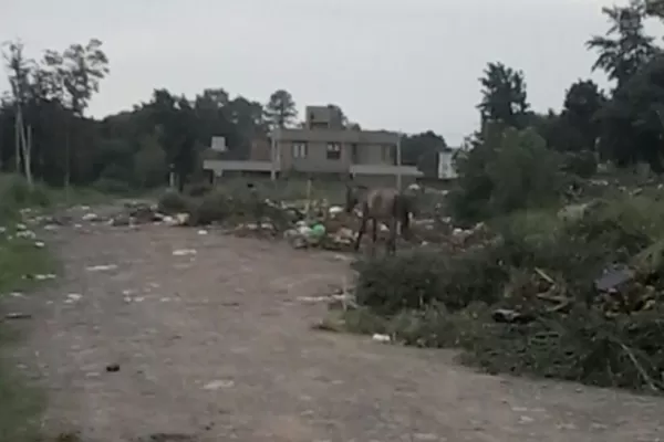 Un basural no para de florecer en Yerba Buena