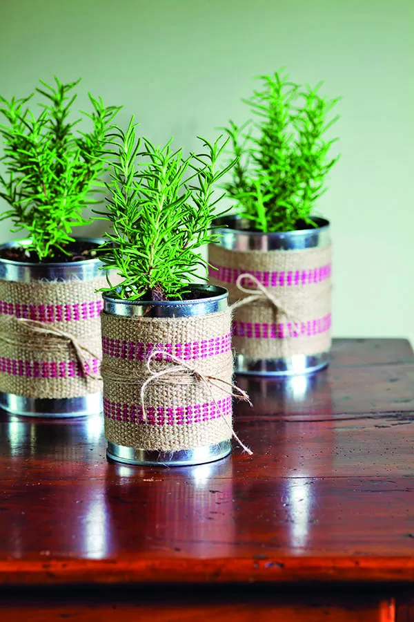 Hierbas aromáticas en latas
