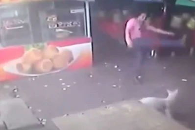 Intentó patear a un perro y recibió una inesperada lección