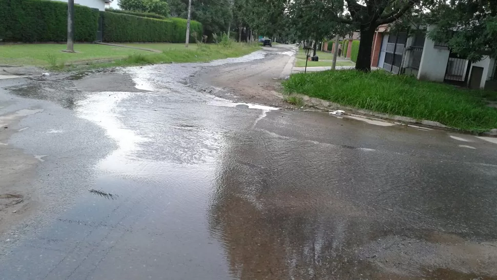 FOTOS ENVIADA POR UN LECTOR