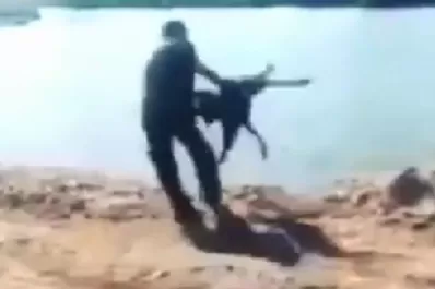 Justicia divina: quiso torturar a un perro, pero le salió mal