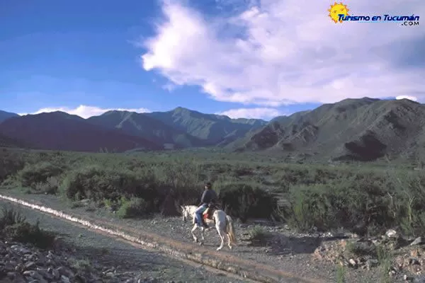 Capacitan para el Desarrollo Institucional