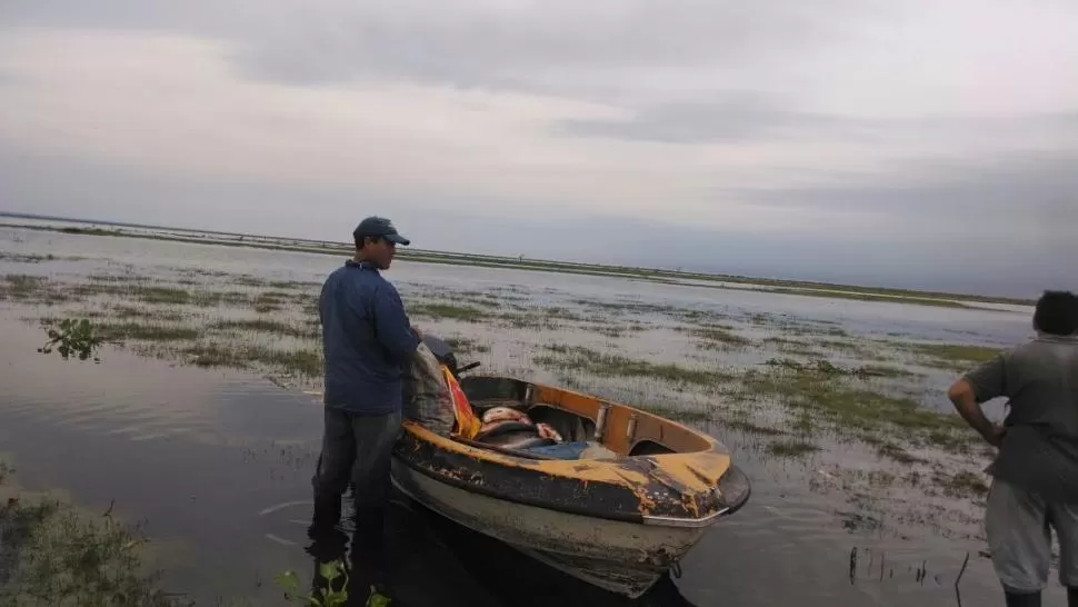  foto de dirección de delitos rurales y ecológicos