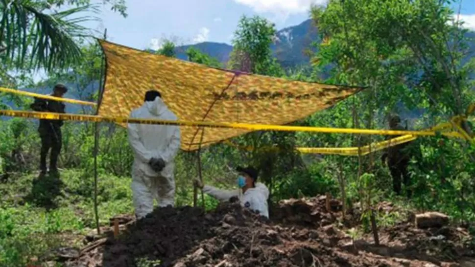 IMAGEN DE LATRIBUNA.HL