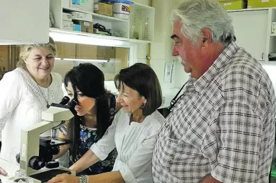 Ahora, los terneros tienen su leche Bio