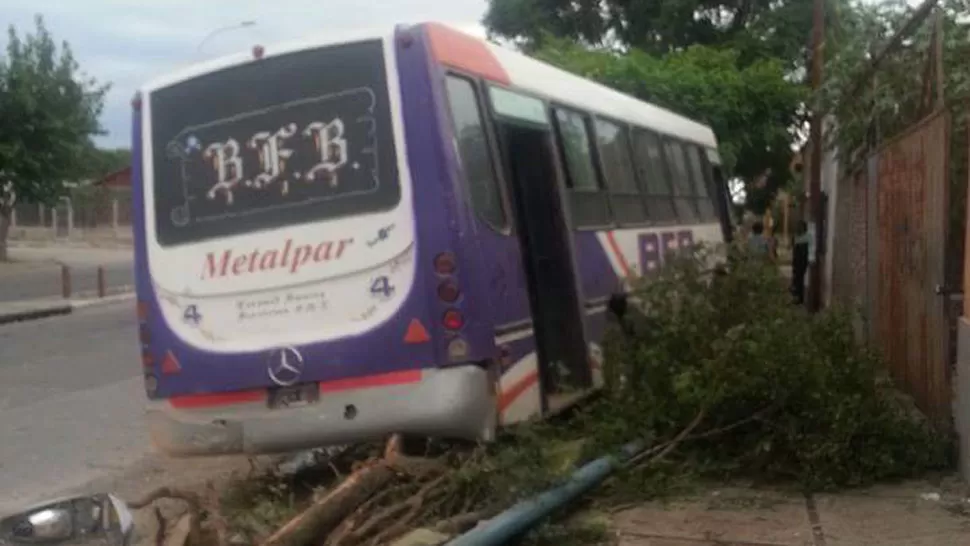 SOBRE LA VEREDA. El colectivo arrancó un poste y un árbol en los últimos metros de su recorrido. FOTO ENVIADA POR UN LECTOR
