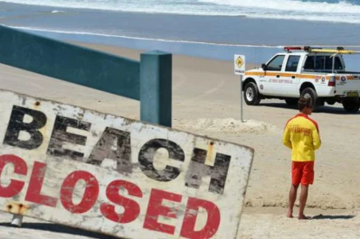 Australia: un tiburón mató a un hombre mientras nadaba