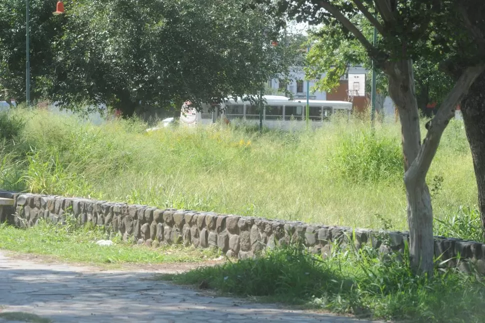 EN EL CENTRO DEL COMPLEJO. Oculta por los altos pastizales se encuentra la cancha de básquet. LA GACETA / FOTO DE ANTONIO FERRONI