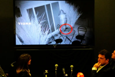 Massa alerta que quieren frenar el juicio al prefecto que le robó