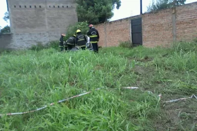 La mataron a golpes en la cabeza y la dejaron en un baldío
