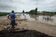 Talaron el bosque y el agua baja sin freno