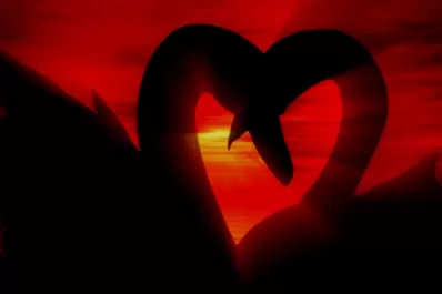 Cada signo y su manera particular para festejar un buen San Valentín