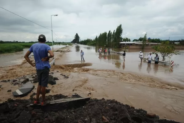 Talaron el bosque y el agua baja sin freno