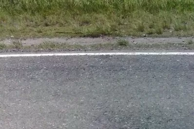 Los baches de la ruta 321 son perfectos para romper el auto