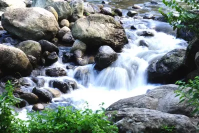 La ruta de las revelaciones