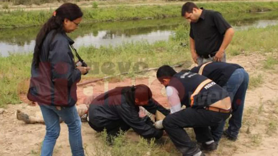 FOTO TOMADA DE NUEVODIARIOWEB.COM