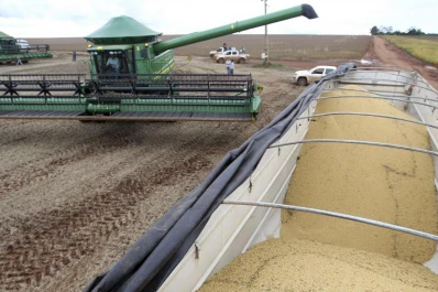 Este año, las cosechas dejarán menos dólares a la economía