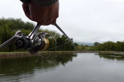 Pesque, pese y pague