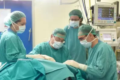 Un médico cree poder trasplantar cabezas a partir de 2017