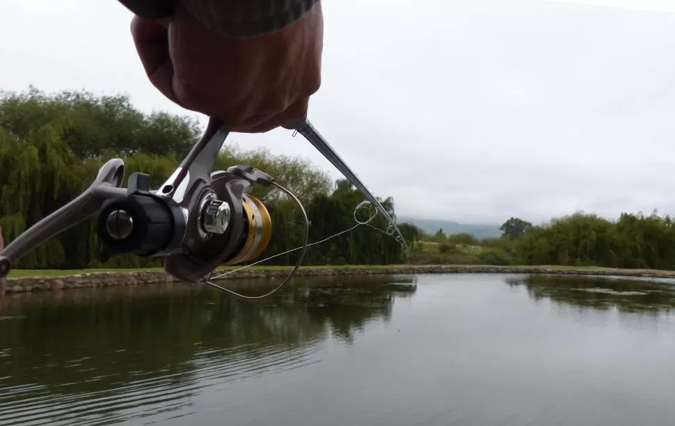  LA GACETA/ FOTO DE osvaldo ripoll
