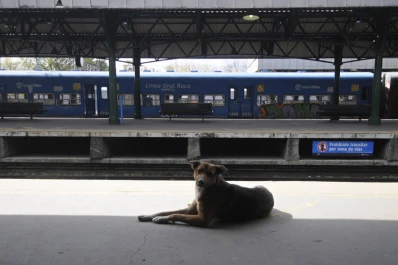El Gobierno ordenó rescindir contratos con concesionarias de trenes