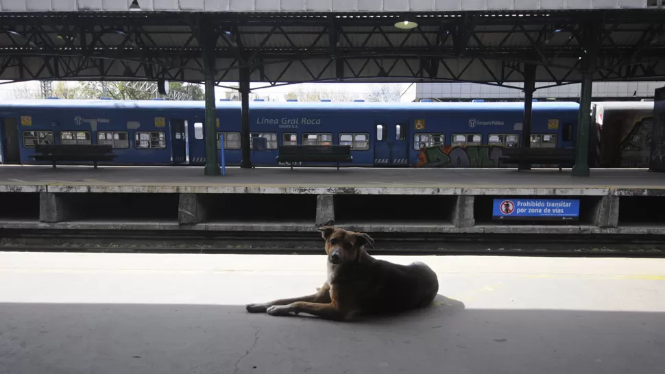 A MANOS DEL ESTADO. El PE pretende estatizar los trenes en los próximos meses. ARCHIVO