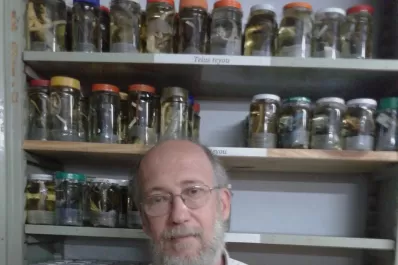 La contaminación ambiental y los agroquímicos están acelerando la extinción de las ranas